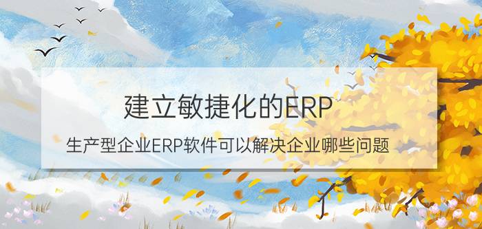 建立敏捷化的ERP 生产型企业ERP软件可以解决企业哪些问题？